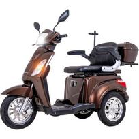 Triratis elektrinis paspirtukas inSPORTline Zorica - Ruda