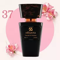 037 Olfazeta Chogan kvepalai Nr. 37 „Gentleman“ 70 ml