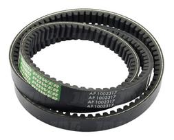 AP1002317 Diržas Optibelt Agro Power