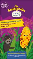 Dekoratyviniai kukurūzai Multicolor Hybrids (Amero) Kakė Makė Sodolendas