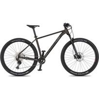 Kalnų dviratis 4EVER Prodigy Race 29” – 2026 - Black/hologram