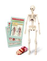 Edukacinis žaislas Clementoni The Human Body Mini-Set 50824