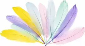 FANDY Žąsų plunksnos, 15–20 cm, pastelinės spalvos