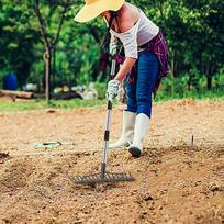 Garden Leaf Rake Lawns Adjustable Handle Agriculture Stainless Steel Planting Grass Clippings