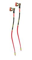 Slidinėjimo lazdos Leki WCR GS Carbon 3D, 120 cm, raudonos