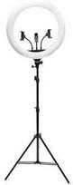 Rio RL18-EU/1.2 45 cm reguliuojamas LED žiedinis šviestuvas