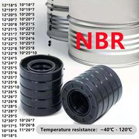 NBR Shaft Oil Seal TC-10*11*12*15/16/17/18/19/20/22/25/26/28*4/5/5.5/6/7/8/9/10mm Nitrile Covered Double Lip With Garter 10X24X5mm  2pcs