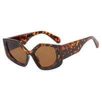 Oversized Rainbow Cat Eye Sunglasses Women For Men Luxury Brand Designer Vintage Sun Glasses Popular Punk Big Frame Eyeglasses brown