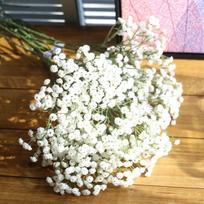 Minkštų klijų dirbtinių gėlių puokštė Gypsophila vakarėlio fotografija Aukšta kokybė