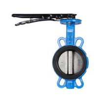 D71X Butterfly Valve with PTFE Seal and Duckbill Handle for HVAC Systems DN50 Ductile Iron Valve Plate
