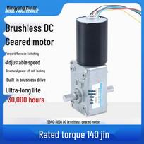12V/24V High Torque Brushless Worm Gear Motor 5840-3650 with Speed Control 12V 40 RPM, 200 reduction ratio