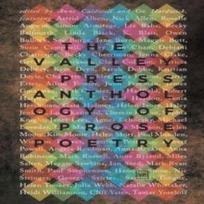 The Valley Press Anthology of Prose Poetry Paperback Book 9781912436200
