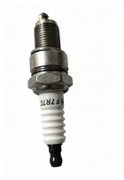 Keturtaktė degimo žvakė Grunder T66RS-D4 T66RS-D4, 0.14 kg, 8 cm