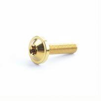 M6x15 Titanium Bolts M6x10 T30 Torx Bolts High Quality Titanium Screws M6X10mm Gold