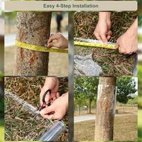 Tree Guards Iguana Cat Prevention PET Transparent Waterproof Tree Trunk Bark Protector Guard For Garden Yard Pathway Driveway S