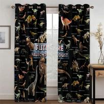 3d Encyclopedia of Dinosaur Names Amusing Children Boys Child Light Filtering Drapes Decor Piece Panels Curtains Great for Sleeping Room Living Room 100W160H(CM)40x63in&Hook