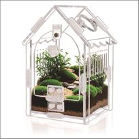Acrylic Mini Pet Terrarium For Jumping Spider Hermit Crab Mantis Beetle Magnetic Habitat Home Desk For Kids Halloween Gift