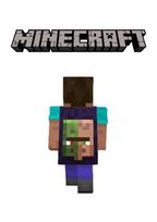 Minecraft Experience Cape (DLC) (PC) Official Website Key GLOBAL