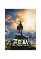 The Legend of Zelda™: Breath of the Wild (Nintendo Switch) eShop Key BRAZIL