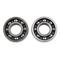 Crankshaft Bearing Set (2 Pieces) for Compatibility with For Pre 2013 Models of TS410 and TS420 OEM Ref 95030030351 China Mainland