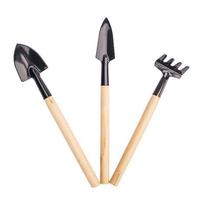 Three-Piece Mini Gardening Tool Set: Multi-Function Shovel, Rake, and Spade for Household Plant Care.
