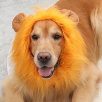 Halloween Lion Mane Dog Wig Hat for Dogs and Cat Small Large Dogs Pet Cat Decor Accessories Lion Wig Fancy Hair Cap Pet Supplies (Orange,S) oranžinė