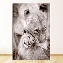 Tapyba Juoda Balta Plakatai ir Spaudiniai Nordic Sienos Menas Paveikslas Modernus Svetainės Dekoras Laukinis Gyvūnas Liūtas Leopardas Drobė 21cm×30cm NoFrame