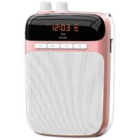 Soaiy Portable Wireless Voice Amplifier with Bluetooth Speaker CN plug (adapter included)