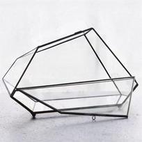 Micro Rainforest Landscape Ecological Geometric Glass Terrarium Tabletop Moss Fern Plant Glass Vase Container Table Greenhouse