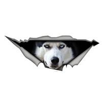 Car Sticker Husky Head Dog Pet Animal Self-adhesive Decal Waterproof Auto Decors on Bumper Rear Window Laptop JM52 20x7.5cm