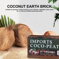 Reptile Coconut Soil Natural Coconut Fiber Substrate Lizard Tortoise Reptile Bedding Soil Reptile Terrarium Bottom Supplies Pet China Mainland