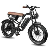 MAXTURN  MX10 Urban electric bicycles 500W motor 48V 13.5Ah battery 20*4.0 inch tires 7-speed transmission