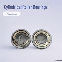 Type 2 Cylindrical Roller Bearing 806126, 32x64x20 for Gearbox 806126