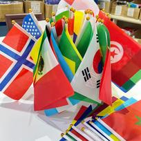 2026 48 vnt./rinkinys Rankinis nacionalinis vėliavėlė 14x 21 cm Šalies vėliava NAUJAS puodelis Šalių vėliavėlės Girlianda Nacionalinė virvės vėliavėlė Futbolo renginys (Beige,14x21cm) smėlis
