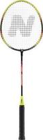 Badmintono rinkinys Nils Extreme NRZ204, 2 vnt.
