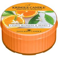 Kringle Candle Citrus Blossom & Honey arbatinė žvakė 42 g