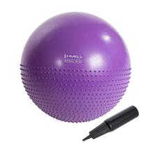 Gimnastikos kamuolys HMS YB03N, violetinė sp., 55 cm