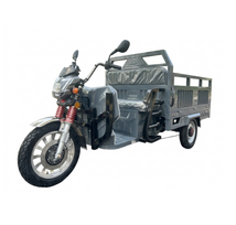 Elektrinis krovininis triratis motoroleris skuteris RIDE-E BULL (EEC)