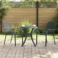 Sodo Kėdė 2 pcs Antracitas 56 x 65 x 89 cm Plienas