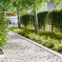 Vejo kraštas 10 pcs 100 x 0,05 x 15 cm Šaltai valcuotas plienas
