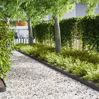 Vejo kraštas 20 pcs 100 x 0,05 x 15 cm Šaltai valcuotas plienas