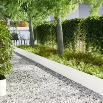 Vejo kraštas 10 pcs 100 x 0,05 x 30 cm Šaltai valcuotas plienas