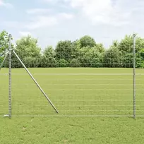 Euro tvora 1,6 x 10 m PVC padengta geležis