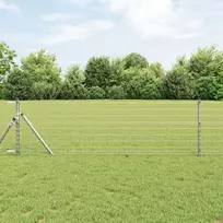 Euro tvora 0,8 x 25 m PVC padengta geležis