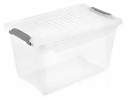 Keeeper Box with lid clipbox Leonie 28.5x18.5x16cm 5.4L transparent