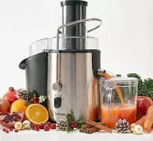 Twinzee sulčiaspaudė 850 W, 2 greičių, 1 l talpa, nerūdijančio plieno korpusas