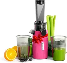 Ventray lėtaeigė sulčiaspaudė, 100 W, 60 aps./min, 400 ml talpa, Ginnie modelis