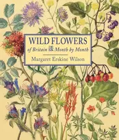 KNYGA Margaret Erskine Wilson Wild Flowers of Britain: Month by Month