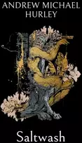 KNYGA Andrew Michael Hurley Hurley Andrew M Saltwash, The chilling new novel from the 'master of menace'