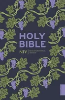 KNYGA New International Version Version New NIV Holy Bible (Hodder Classics)